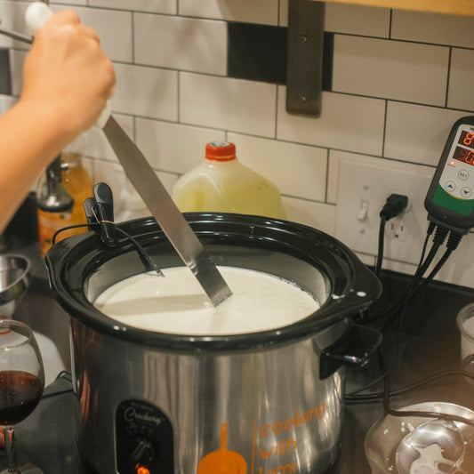 Workshop: Father's Day Cheesemaking Class at Cider Hill Farm